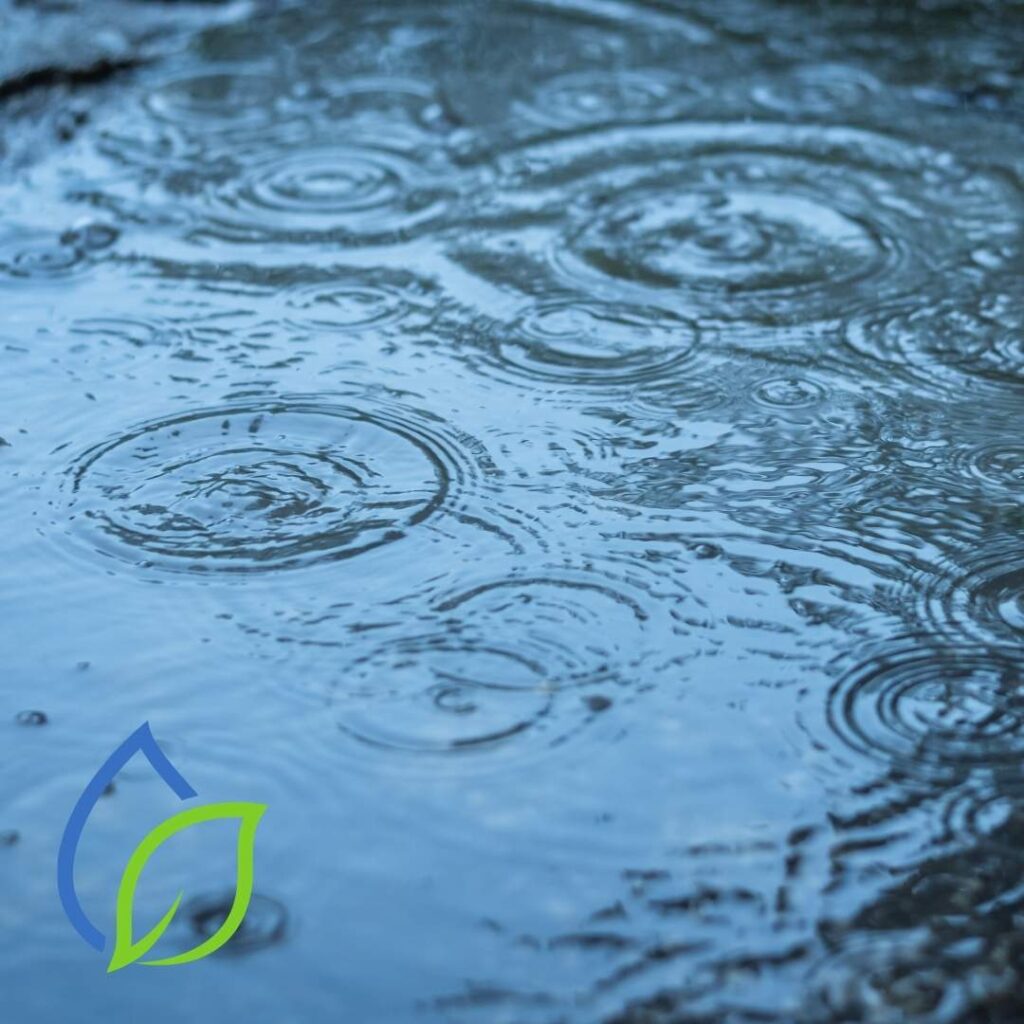 Bewässerung mit Regenwasser sammeln und nutzen