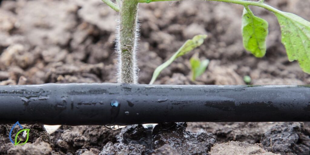 tropfbewaesserung gartenbewaesserung berlin