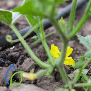 bewaesserungsarten berlin brandenburg