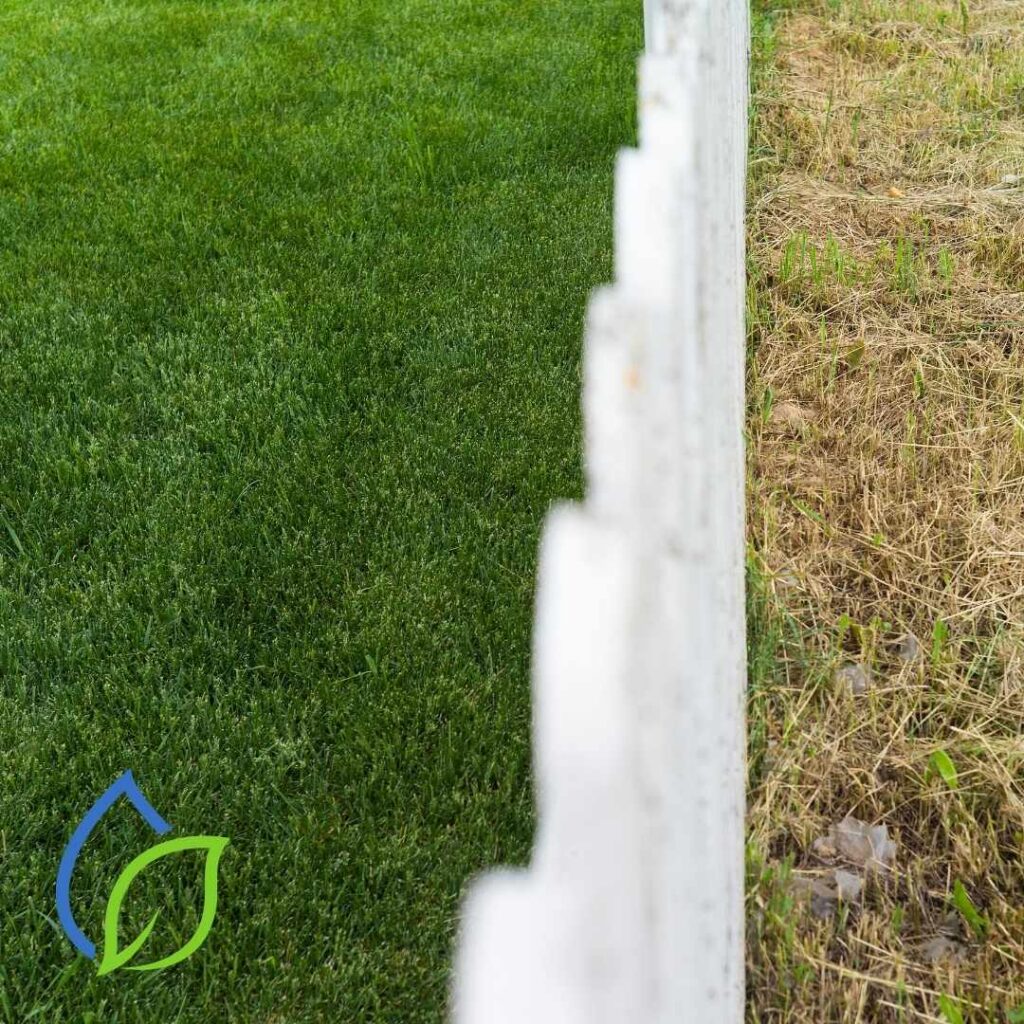 Effiziente Gartenbewässerung in trockenen Sommern berlin
