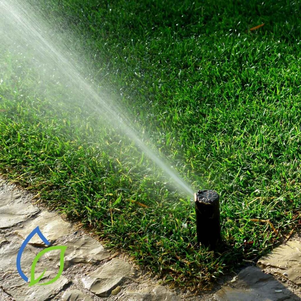 gartenbewässerung bei trockenheit brandenburg berlin