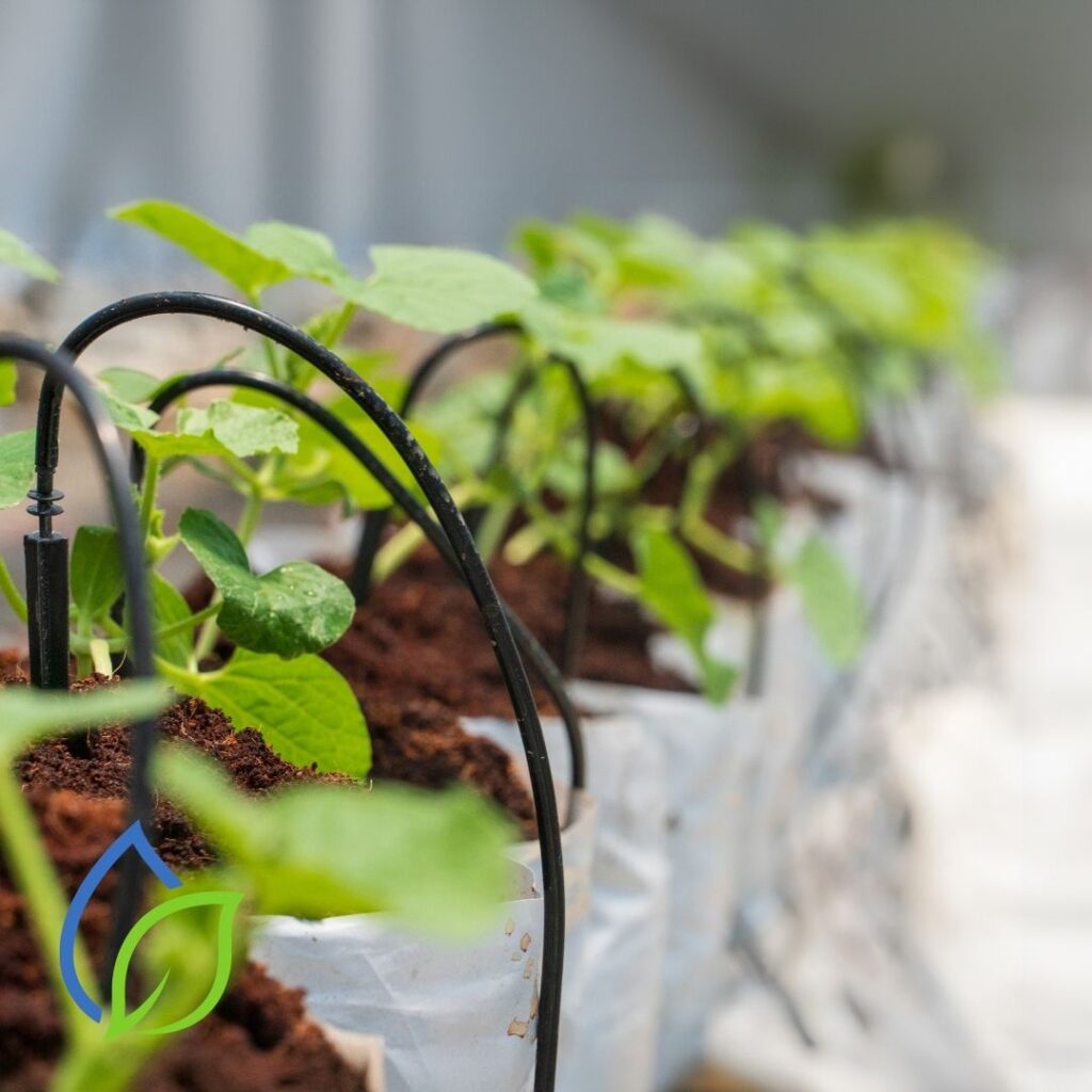 automatisches bewässerungssystem wintervorbereitung gartenbewaesserung berlin
