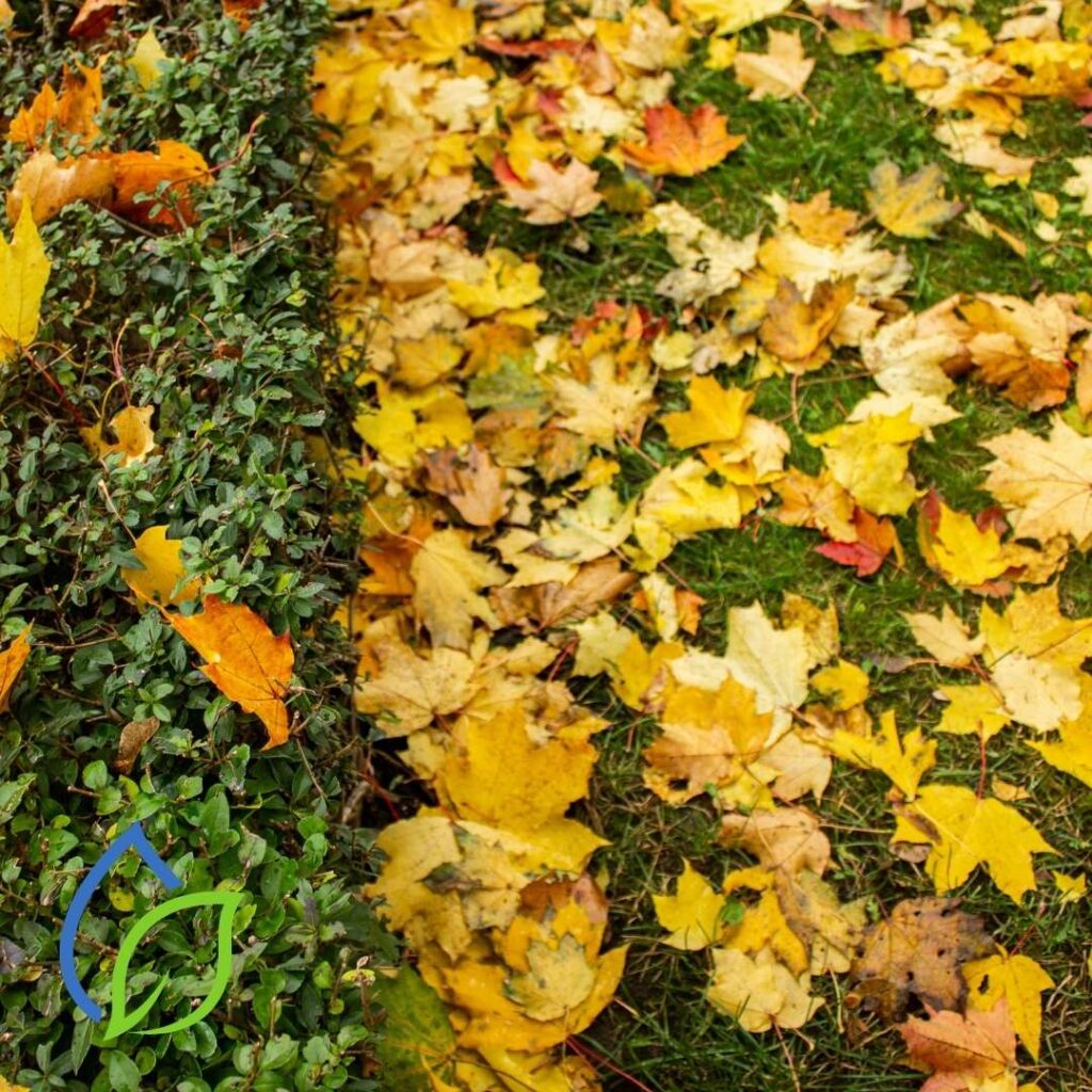 herbst bewässerungssysteme automatisiert