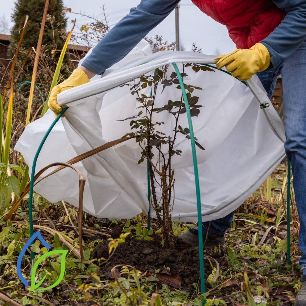 Herbstliche Gartenpflege Bewässerung anpassen statt abstellen