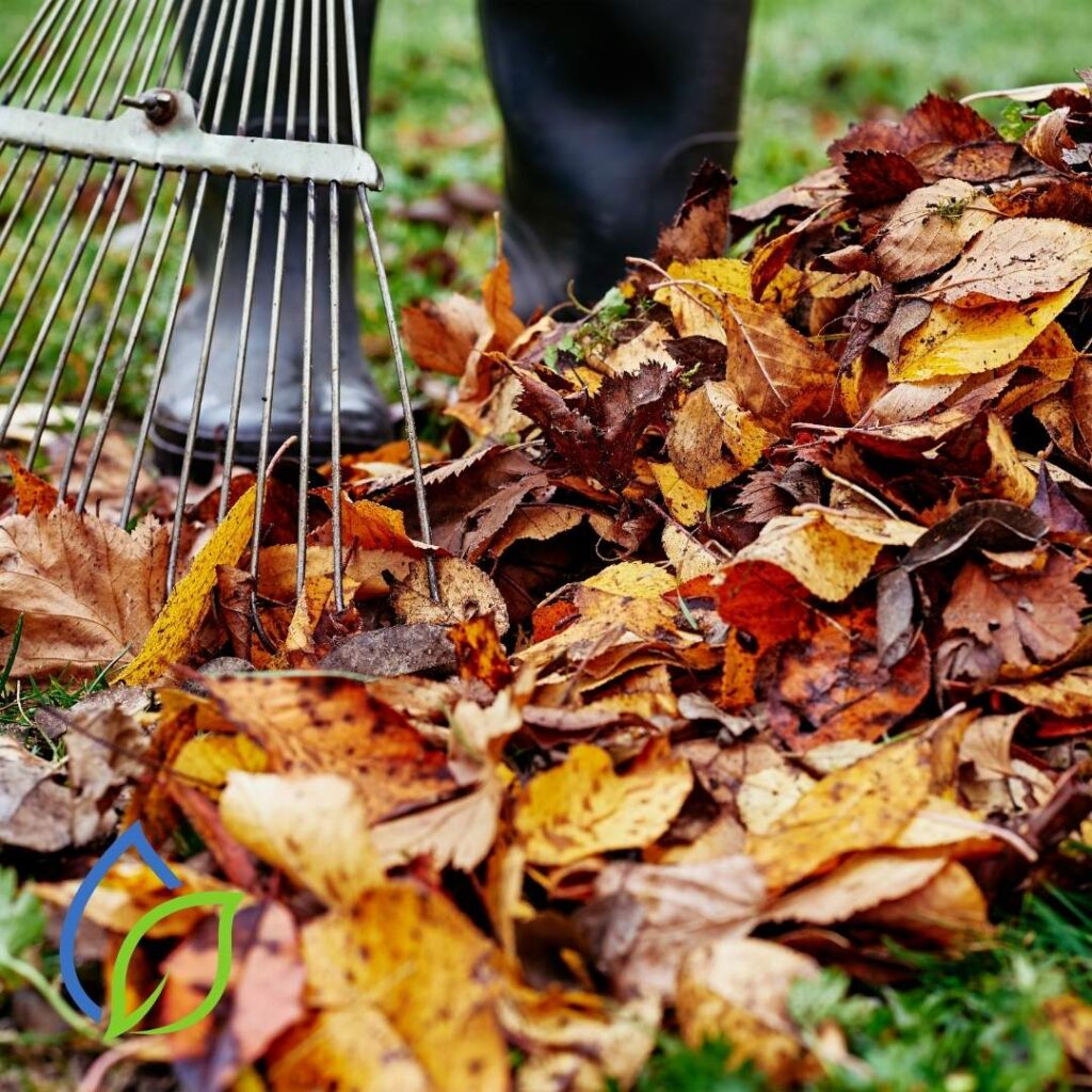 herbstliche gartenpflege-gartenbewässerung im herbst